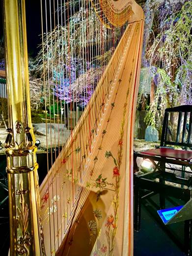 �n�[�v ���܂܂�Ă���摜

AI �����R���e���c�͌����܂މ\��������܂��B